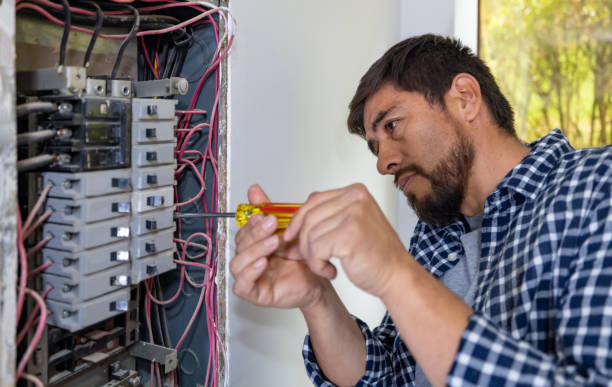 Best Ceiling Fan Installation Electrician  in Homestead, PA